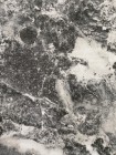 Палас «p2848a5». Размер 200x300 